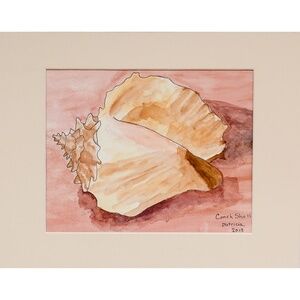 "Conch Shell" matted 11 x 14 inches - New watercolor painting by seller